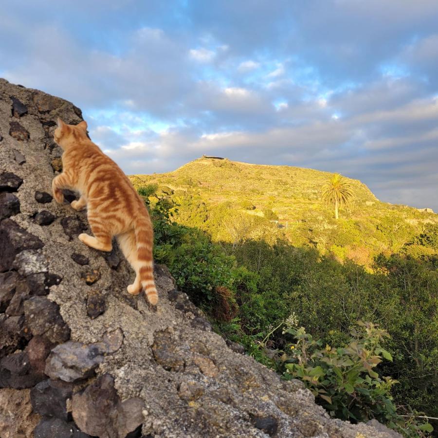 Finca El Lance El Tanque Eksteriør billede